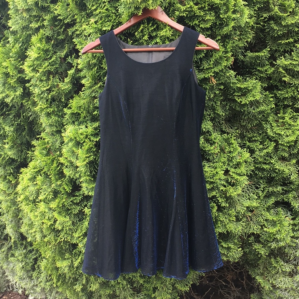 Vintage color shifting dress